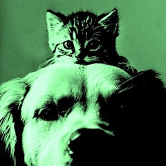 GAP cats n dogs (demo)