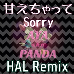 甘えちゃってSorry (HAL Remix) / AYA a.k.a PANDA