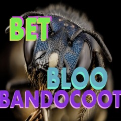 BET - BUXX BANDOCOOT prod. bloo