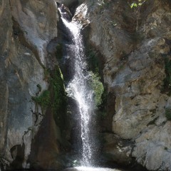 Eaton Canyon Waterfall Walk (20180516.1)