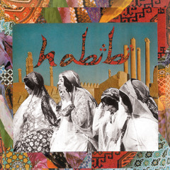 Habibi - I Got The Moves