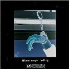 SKAMI SAMPLE CHALLENGE