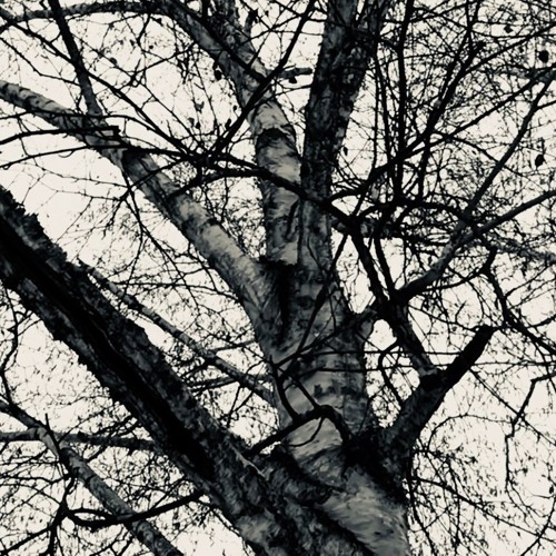 Stream Strawberry (Paul Baribeau) by wander Listen online for free on