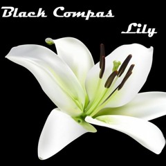 Black Compas - Лилия (2013)