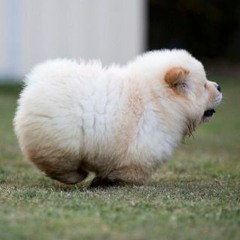 Aaron McCarthy playlist