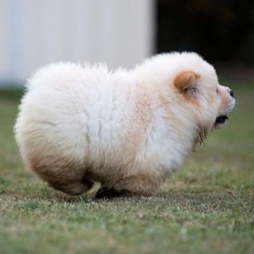 Aaron McCarthy playlist