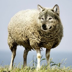 pAz x moses x AQUA - unduso? (prod. by TillTheEnd)