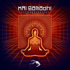 Kri Samadhi - Mercury7 [Mindspring Music]