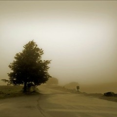 Symphony Nostalgique Portugal Reading Sessions - Letter H