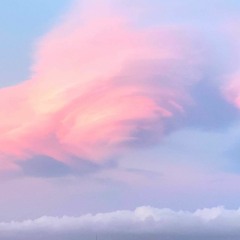 Take A Trip With Me - SATARI