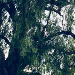 HopeYouDontForgetMe ( Prod.Nedarb )