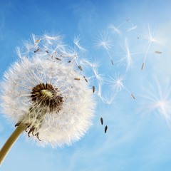 Misty Road Dance - Edit 2 (rem 1.56)