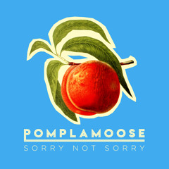 Pomplamoose - Sorry Not Sorry