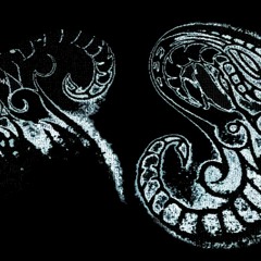 SPLIT-RELEASES
