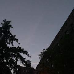 Dream a Lil Dream of Me (cover)