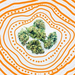 F E E L Z like Friday