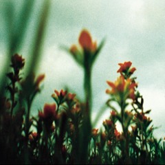 NIN - Pilgrimage Cover