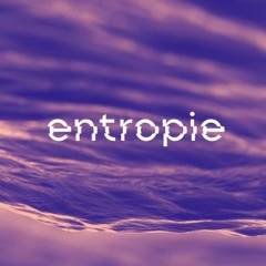 Entropie pres. H. @ Mensch Meier Berlin 19.05.18