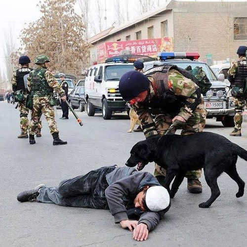 Oyghan Turkistan ئويغان تۈركىستان