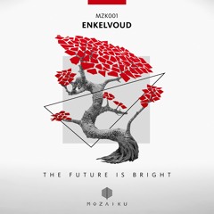 Enkelvoud - Tehy - Original Mix