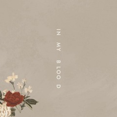In My Blood (Abdul Nadeem Future Bounce Remix)