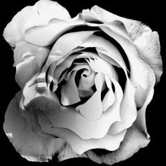 Sleeping With Strangers