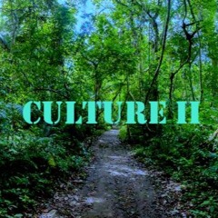 Walk It Like I talk It Remake - Culture II - (prod. Mathis)