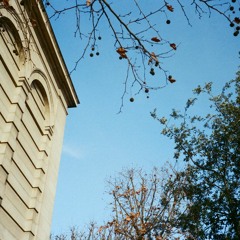 The Bricks 004