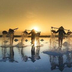 Kräuter und Schnaps - VINE ft. BONE [prod. by BrayanSBeats]