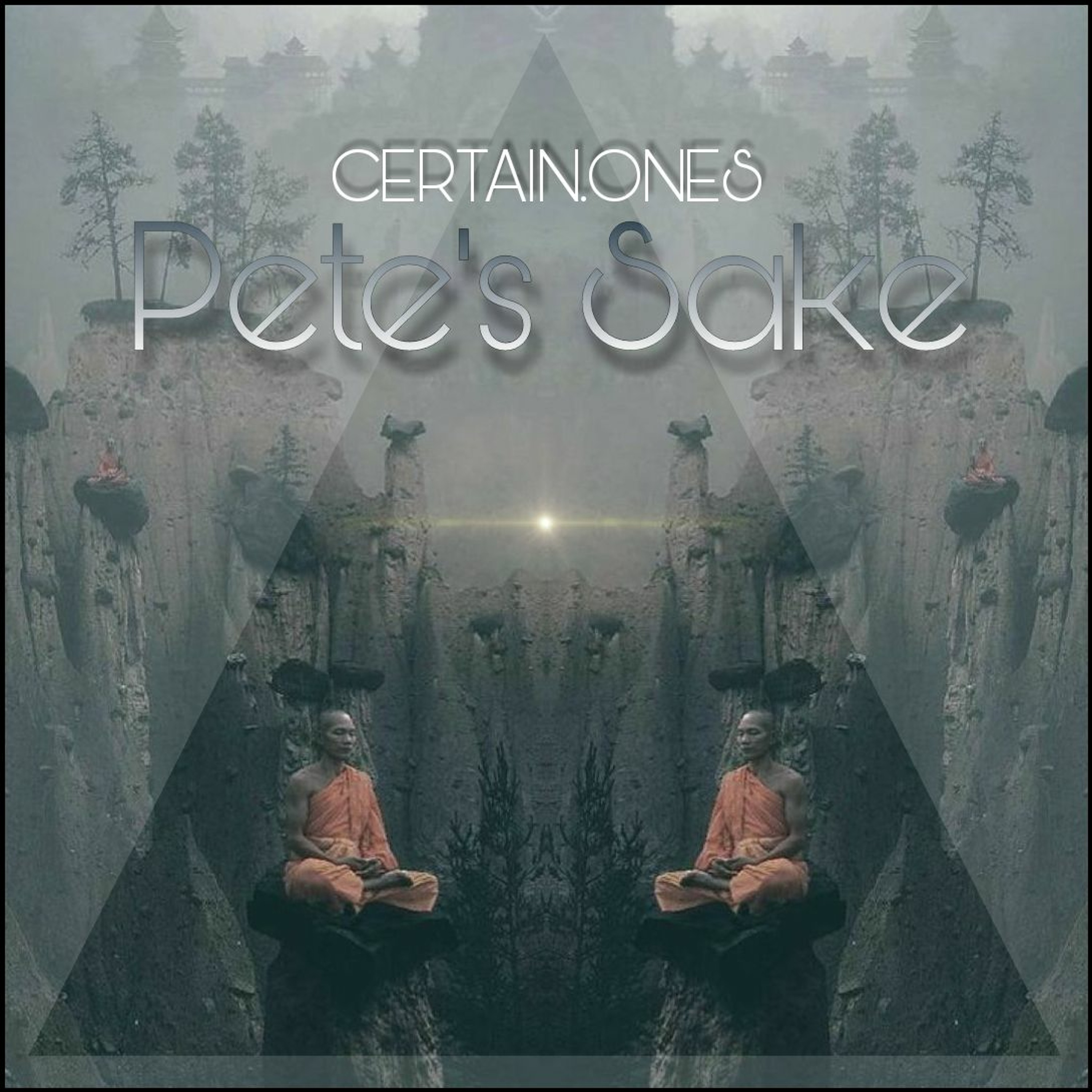PETE'S SAKE | THEWIZ • BOBBY CRAVES • FERAL SERGE • FORTIFIED MIND • DJ EVI DENZ episode artwork