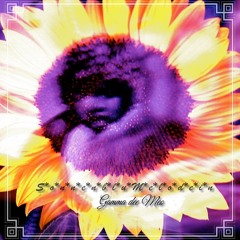 S*o*n*n*e*n*b*l*u*M*e*l*o*d*e*i*n