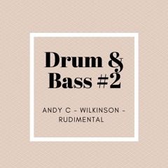 Drum & Bass #2 - Andy C - Wilkinson - Rudimental
