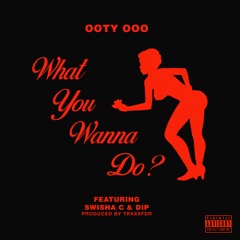 What You Wanna Do? ft. Swisha C & Dip (prod. TraxxFDR)