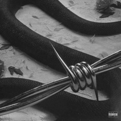 Post Malone - Rockstar (Lo-Fi Flip by ShaggE)