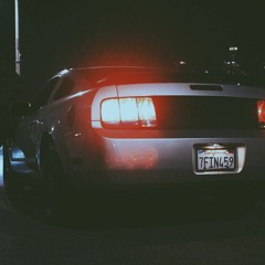 BIG BANK UCHIES - Great Dane