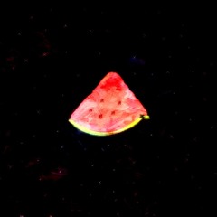 Watermelon Space Funk (instrumental)