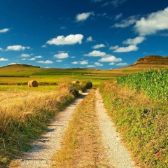 TRAPPIN ON DA TRAKTOR FT. Beau Jackson & TRAKTORMANE [Prod. Yung Shinra]