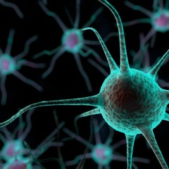 Neuro FM 008: Necrosis