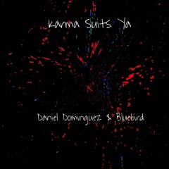 Karma Suits Ya (Daniel Dominguez collaboration)