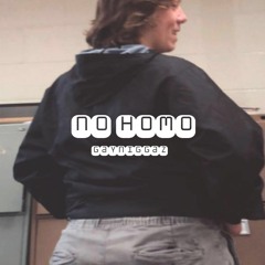 NO HOMO