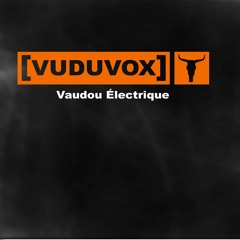 VUDUVOX - Vaudou Électrique (album Preview)