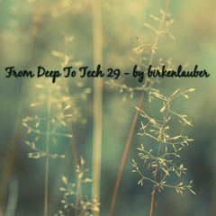 From Deep To Tech 29 - birkenlauber