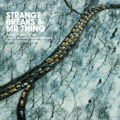 Mr. Thing - Strange Breaks And Mr. Thing - Mix CD (2008)
