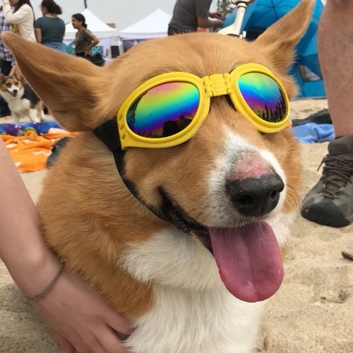 Young Boy never broke again- What you know feat lil uzi