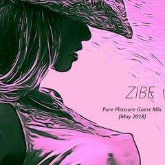 ZIBE-Pure Pleasure Guest Mix(May 2018)Vibes Radio