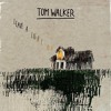 Leave a Light On Tom Walker Cover Leave a Light On Tom Walker Cover