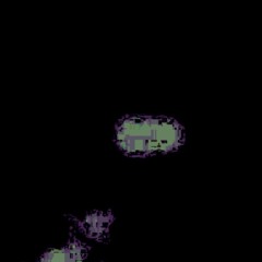 Undiet (Demo)