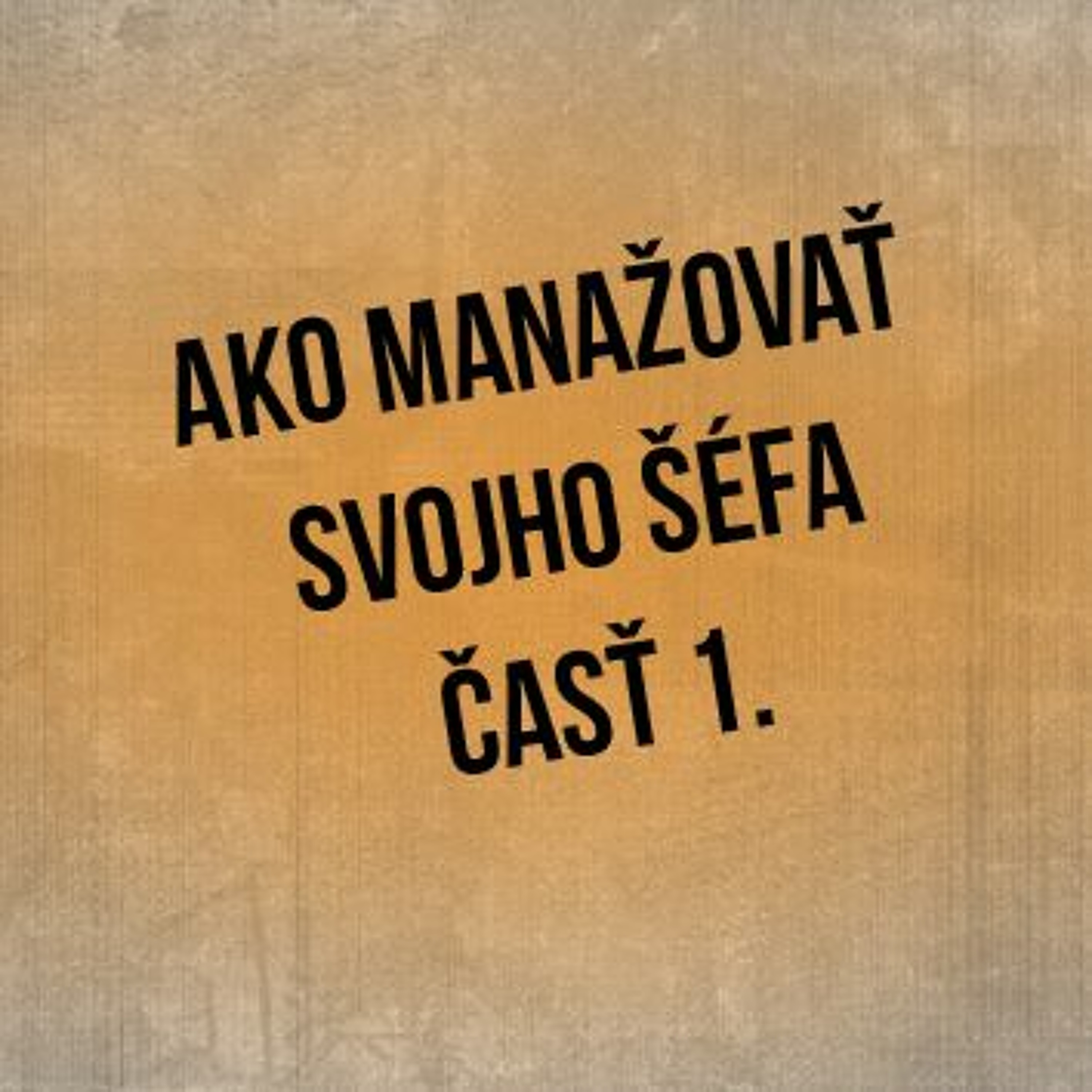 Sprievodca Manažéra