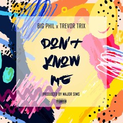 Don't Know Me (Feat. Trevor Trix) [Prod. Major Sims]