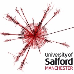 Collision Theory, Salford Academic Finale 2016